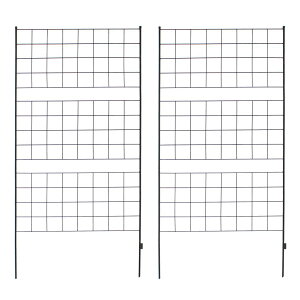 yP5{zyN[|zACAtFX Ot 2g nC^Cv tFX 176 o KN  U gX K[ftFX K[fjO g  d؂ ډB  AeB[N iq 