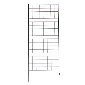 yP5{zyN[|ztFX Ot 1 Pi nC^Cv ACAtFX 226 o KN  U gX K[ftFX K[fjO g  d؂ ډB  AeB[N i