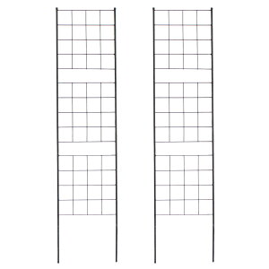 yP5{zyN[|zACAtFX 176 X Ot 2g nC^Cv tFX ACA K[ftFX K[fjO g  d؂ ډB  NVbN AeB[N iq 