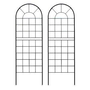 yN[|zyP5{zNVbNtFX150 [^Cv 2gy tFX ACA K[ftFX K[fjO g  d؂ ډB  NVJ AeB[N gX x