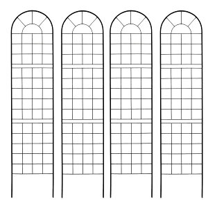 yN[|zyP5{zNVbNtFX220 nC^Cv 4g  tFX ACA K[ftFX K[fjO g  d؂ ډB  NVJ AeB[N gX x