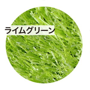 yP5{zyN[|z[J[lH [^[t rrbh^[t ŏ28mm [ S12F 1m 10m LbY[ q hbO  O x_ }bg zCg bh 