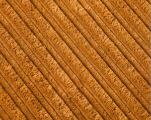 ACME FURNITURE ANt@j`[ JETTY feather OTTOMAN corduroy AC07@WFeBtFU[ Ibg} R[fC