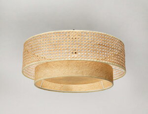 journal standard Furniture W[iX^_[ht@j`[ Ƌ DAFNE CEILING LAMP _tlV[Ov