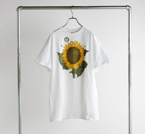 LIBERTY GRAPHICS 185 WHITE Sunflower and Bees ���o�e�B�[�O���t�B�b�N�X �A�[�g�V���N�v�����gT�V���c