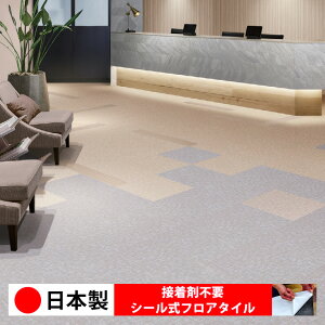 y{ 1izVR[ MS2009N-2012N V[tA^C  \邾 floor V[^Cv u Ζ 嗝 RN[g ؖ  DIY   ؖڒ tA^C 6 