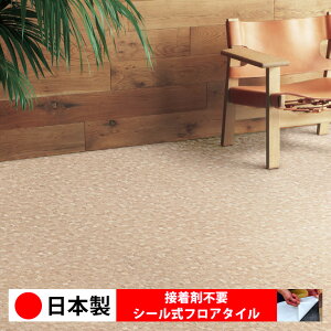 y{ 1izVR[ MS2013N-2014N V[tA^C  \邾 floor V[^Cv u Ζ 嗝 RN[g ؖ  DIY   ؖڒ tA^C 6 