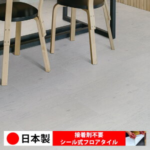 y{ 1izVR[ MS2043N V[tA^C  \邾 floor V[^Cv u Ζ 嗝 RN[g ؖ  DIY   ؖڒ tA^C 6 10 