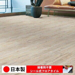 y{ 1P[Xi 15zVR[ MW2195N V[tA^C  \邾 floor V[^Cv u Ζ 嗝 RN[g ؖ  DIY   ؖڒ tA^