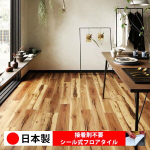 y{ 1P[Xi 24zTQc WD2097N V[tA^C  \邾 floor V[^Cv u Ζ 嗝 RN[g ؖ  DIY   ؖڒ tA^C