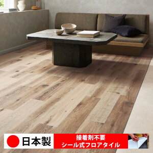 y{ 1P[Xi 24zTQc WD2124N-2125N V[tA^C  \邾 floor V[^Cv u Ζ 嗝 RN[g ؖ  DIY   ؖڒ tA