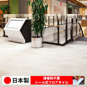 y{ 1P[Xi 14z ECT6020N-6023N V[tA^C  \邾 floor V[^Cv u Ζ 嗝 RN[g ؖ  DIY   ؖڒ tA^