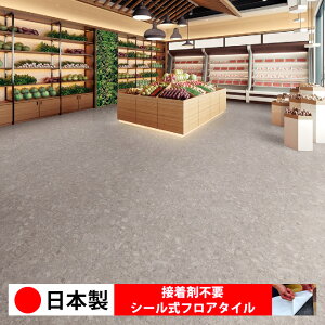 y{ 1P[Xi 10z ECT6051N V[tA^C  \邾 floor V[^Cv u Ζ 嗝 RN[g ؖ  DIY   ؖڒ tA^C 6