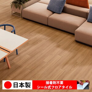 y{ 1P[Xi 12z PWT4221N V[tA^C  \邾 floor V[^Cv u Ζ 嗝 RN[g ؖ  DIY   ؖڒ tA^C 6