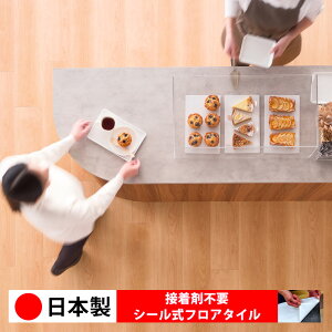 y{ 1P[Xi 12z PWT4294N-4295N V[tA^C  \邾 floor V[^Cv u Ζ 嗝 RN[g ؖ  DIY   ؖڒ tA^