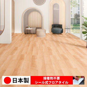 y{ 1P[Xi 20z PWT4298N-4299N V[tA^C  \邾 floor V[^Cv u Ζ 嗝 RN[g ؖ  DIY   ؖڒ tA^