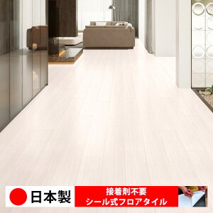 y{ 1P[Xi 20z PWT4301N V[tA^C  \邾 floor V[^Cv u Ζ 嗝 RN[g ؖ  DIY   ؖڒ tA^C 6