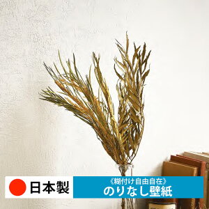 y{ TQc FE76050-FE76053zǎ ̂Ȃ NX  DIY ȒP ւ  tH[ ؖ K  CN V[g n V Lb` ʏ rO q a g