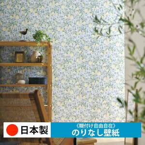 y{ TQc FE76812zǎ ̂Ȃ NX  DIY ȒP ւ  tH[ ؖ K  CN V[g n V Lb` ʏ rO q a gC 