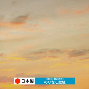 y{ TQc RE55036-RE55046zǎ ̂Ȃ NX  DIY ȒP ւ  tH[ ؖ K  CN V[g n V Lb` ʏ rO q a g