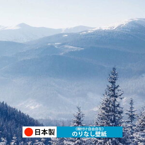 y{ TQc RE55057-RE55066zǎ ̂Ȃ NX  DIY ȒP ւ  tH[ ؖ K  CN V[g n V Lb` ʏ rO q a g