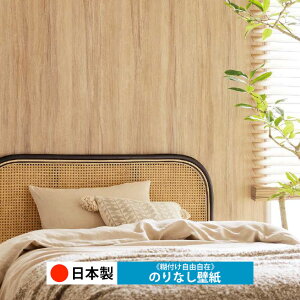 y{ TQc RE55584zǎ ̂Ȃ NX  DIY ȒP ւ  tH[ ؖ K  CN V[g n V Lb` ʏ rO q a gC 