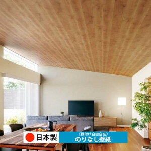 y{ TQc RE55591zǎ ̂Ȃ NX  DIY ȒP ւ  tH[ ؖ K  CN V[g n V Lb` ʏ rO q a gC 