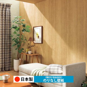 y{ TQc RE55593zǎ ̂Ȃ NX  DIY ȒP ւ  tH[ ؖ K  CN V[g n V Lb` ʏ rO q a gC 
