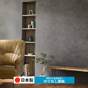 y{ TQc RE55629zǎ ̂Ȃ NX  DIY ȒP ւ  tH[ ؖ K  CN V[g n V Lb` ʏ rO q a gC 