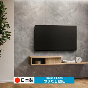 y{ TQc RE55630zǎ ̂Ȃ NX  DIY ȒP ւ  tH[ ؖ K  CN V[g n V Lb` ʏ rO q a gC 