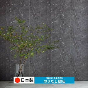 y{ TQc RE55638zǎ ̂Ȃ NX  DIY ȒP ւ  tH[ ؖ K  CN V[g n V Lb` ʏ rO q a gC 