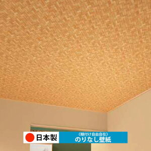 y{ TQc RE55717-RE55718zǎ ̂Ȃ NX  DIY ȒP ւ  tH[ ؖ K  CN V[g n V Lb` ʏ rO q a g