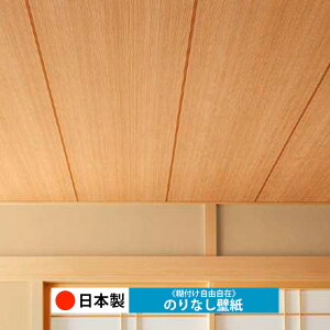 y{ TQc RE55719zǎ ̂Ȃ NX  DIY ȒP ւ  tH[ ؖ K  CN V[g n V Lb` ʏ rO q a gC 