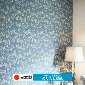 y{ TQc RE55733zǎ ̂Ȃ NX  DIY ȒP ւ  tH[ ؖ K  CN V[g n V Lb` ʏ rO q a gC 