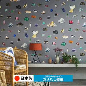 y{ TQc RE55944zǎ ̂Ȃ NX  DIY ȒP ւ  tH[ ؖ K  CN V[g n V Lb` ʏ rO q a gC 