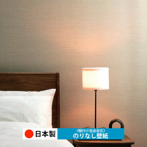 y{ m C2047-C2054zǎ ̂Ȃ NX  DIY ȒP ւ  tH[ ؖ K  CN V[g n V Lb` ʏ rO q a gC 