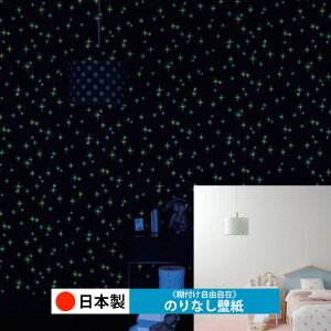 y{ m RH9354zǎ ̂Ȃ NX  DIY ȒP ւ  tH[ ؖ K  CN V[g n V Lb` ʏ rO q a gC  