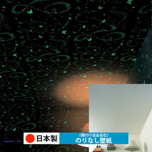 y{ m RH9356zǎ ̂Ȃ NX  DIY ȒP ւ  tH[ ؖ K  CN V[g n V Lb` ʏ rO q a gC  