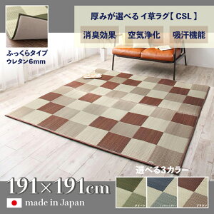 ���i�� ���{�� �������O CSL �􃉃O �ă��O �����J�[�y�b�g�ӂ�����^�C�v ���n �E���^�� 6mm ��191 ���s191cm���Y �C�� TATAMI �^�^�~ ������ ���O�}�b�g���h�~ �h�L �a���_�� ������� �O�~�a�� 