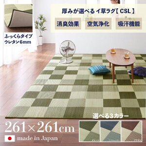 ���i�� ���{�� �������O CSL �􃉃O �ă��O �����J�[�y�b�g�ӂ�����^�C�v ���n �E���^�� 6mm ��261 ���s261cm���Y �C�� TATAMI �^�^�~ ������ ���O�}�b�g���h�~ �h�L �a���_�� ������� �O�~�a�� 