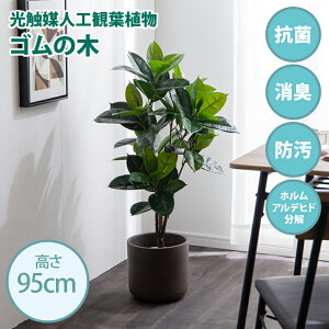 ő10,000~OFFN[|G}lHϗtA fake green S̖()50cm×s50cm×95cmƖ邱ƂŏLERہEhEzAfqȟʂ𔭊tFCNO[  