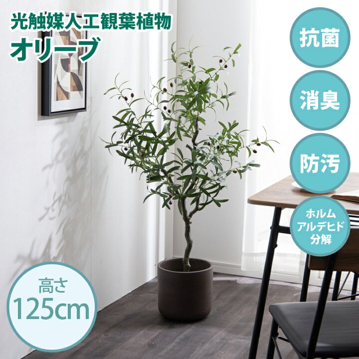楽天市場】クーポン祭り開催中！光触媒人工観葉植物 fake green 