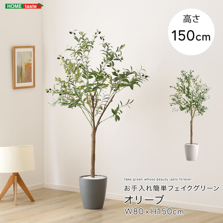楽天市場】クーポン祭り開催中！フェイクグリーン fake green オリーブ 