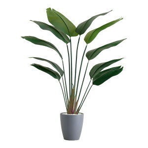 N[|ՂJÒItFCNO[ fake green Xg`ASTCY(120cm) lHϗtAȒP sv  C~e[VO[ CeAvc CeAO[ 
