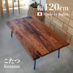 yzy120cmzgN XNGA 120  e[u EH[ibgIWifUC  x a_ Z^[e[u [e[uk ~bhZ`[ 