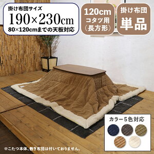 y |zcPi zi MUKF RpNgX | zcTCY 190 s230cm (`)f |GXeJ[5FΉ R[fC  k R^czc |zc