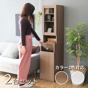 RPP-DB ゴミ箱 ダストボックス 【2台セット】収納付き ごみ箱カラー:ブラウン/ホワイトサイズ:幅35×奥行き40×高さ160cm主素材:合成樹脂化粧繊維板ゴミバコ ごみばこ スリム 店舗用ダストBOX