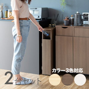 SANA-DB S~ _Xg{bNX ݔ y2ZbgzJ[FzCg/uE/i`TCYF17×s44.5×80cmfށFϑ@۔S~oR ݂΂ X Xܗp_X