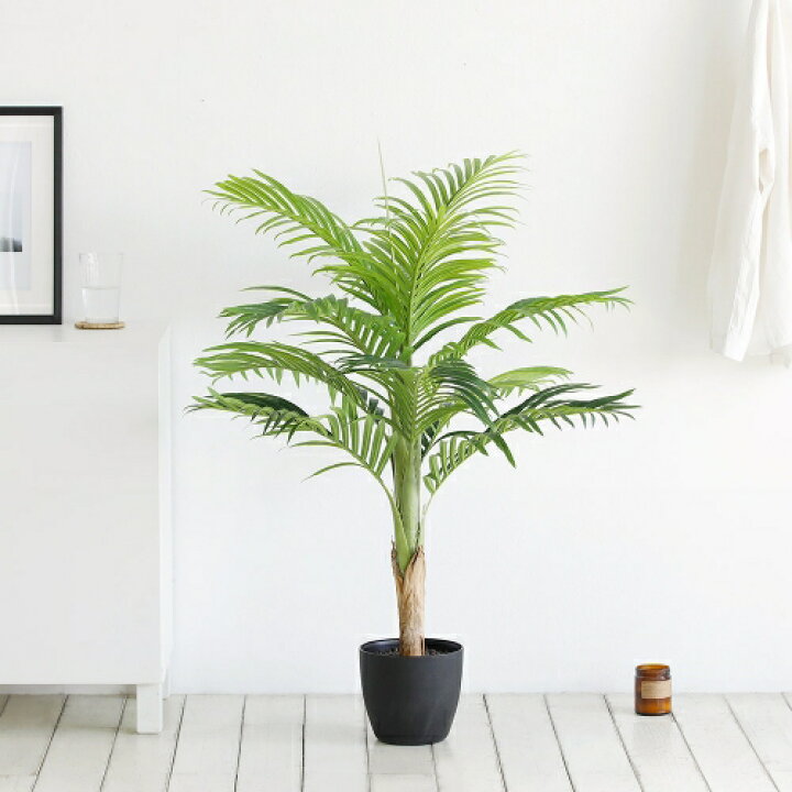 楽天市場 100cm アレカヤシ人工観葉植物 オリジナル人工樹木 フェイクグリーン ポリプロピレン鉢 人工観葉植物 アーティフィシャルグリーン人工樹木 観葉樹木インテリア インテリアグリーン Roomnhome楽天市場店