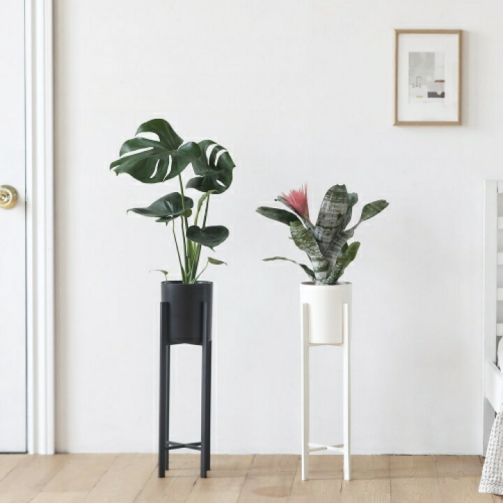楽天市場 H600 クロス植木鉢スタンド プランター 鉢植え おしゃれ 植木鉢 フラワーポット 植物 花 植木 ガーデニング 観葉植物 脚付き 2色2サイズ Roomnhome楽天市場店